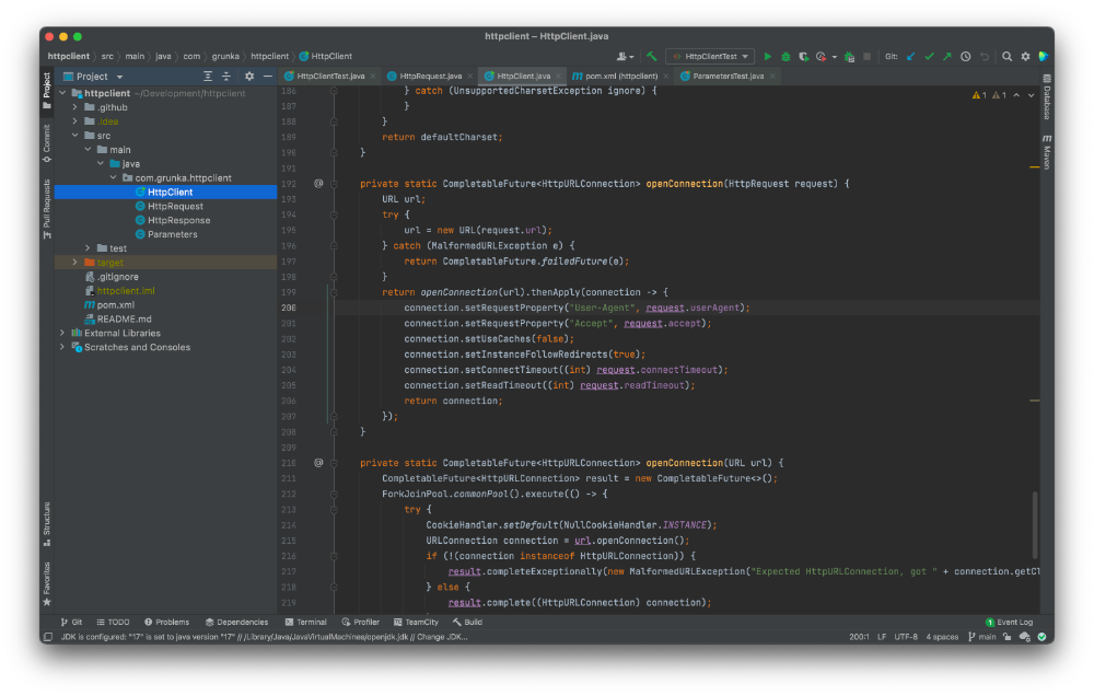 Screenshot of IntelliJ